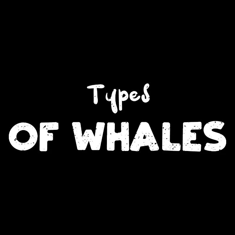 Types de baleines - Pêche