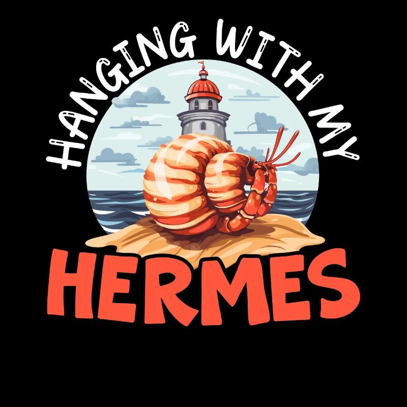 Cute hermit crab crab crustaceans