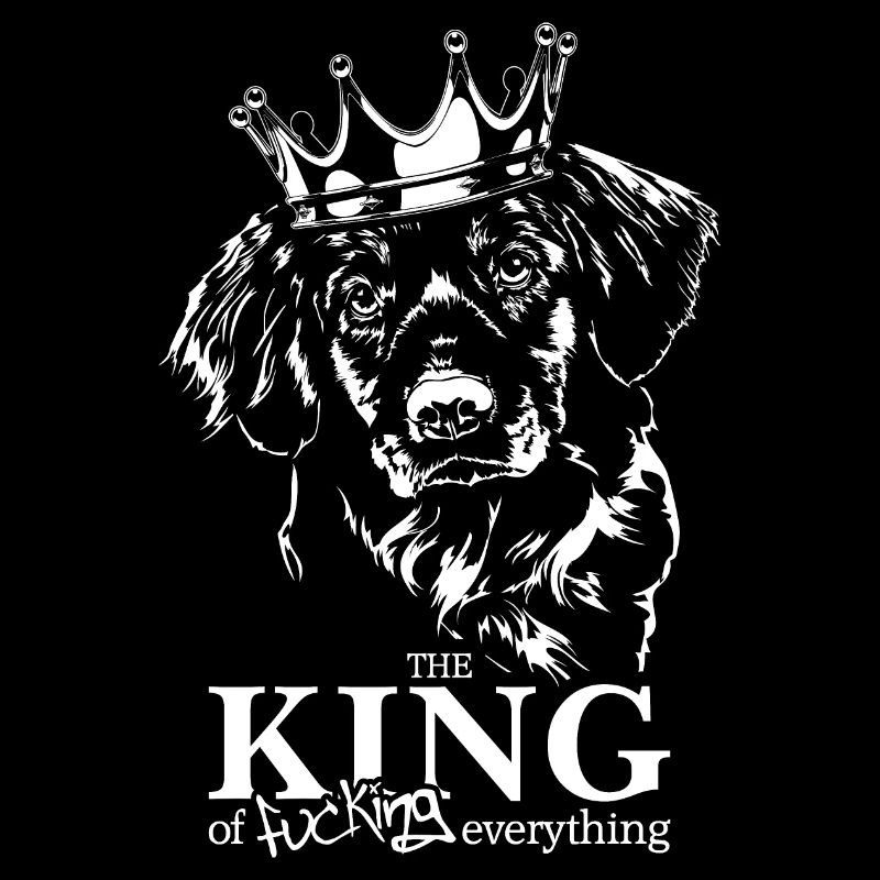 Nova Scotia Duck Tolling Retriever King Hunde Hund