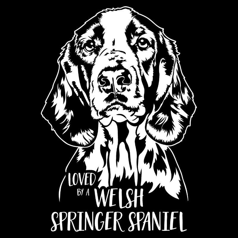 Loved by a Welsh Springer Spaniel Hunde Wilsigns