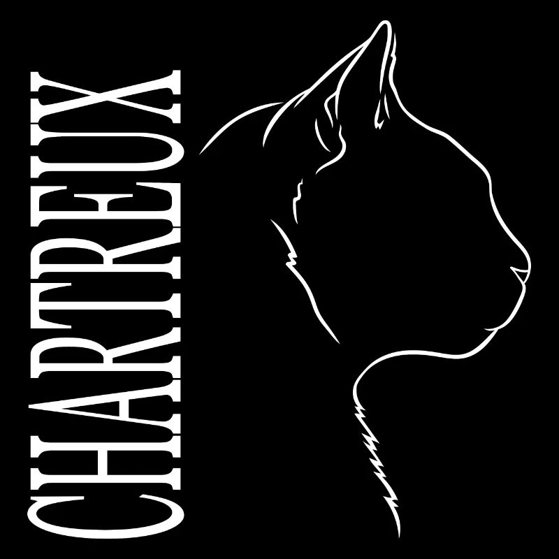 Chartreux Profil Chat Chats Wilsigns