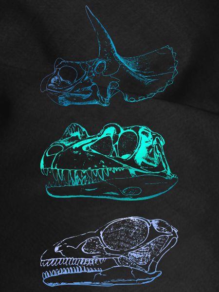 Dinosaur Skulls