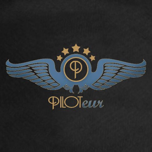 Logo (dark blue) "Piloteur"