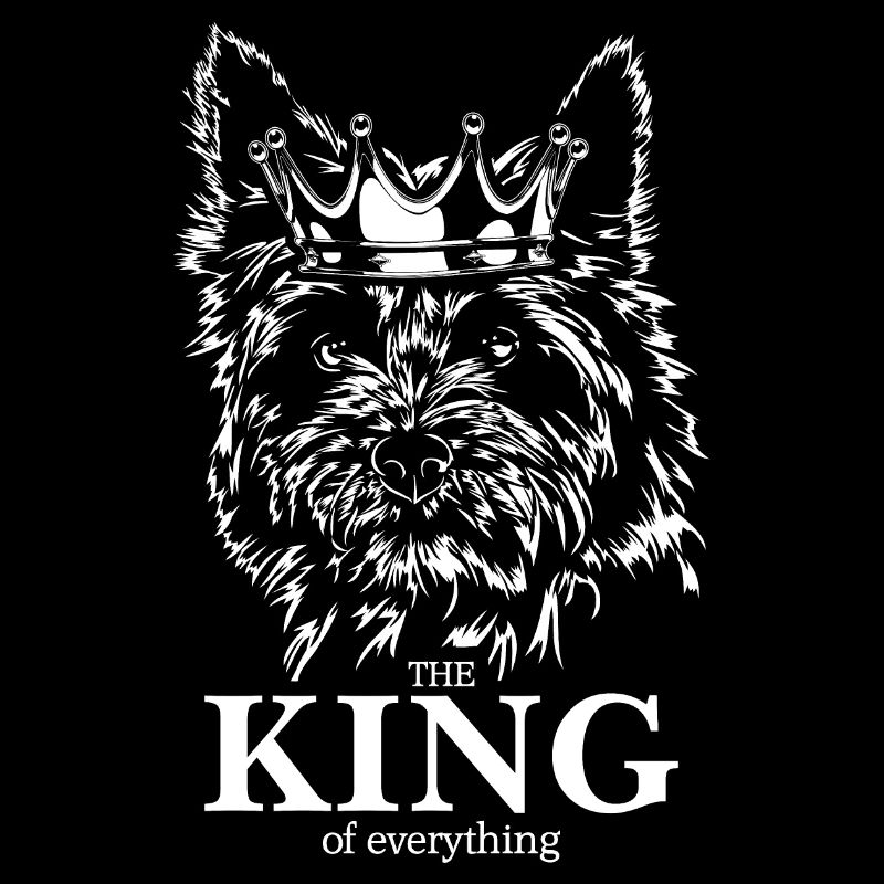 CAIRN TERRIER Roi de tout Chiens Wilsigns
