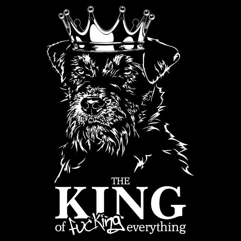 Deutscher Jagdterrier King of everything Wilsigns