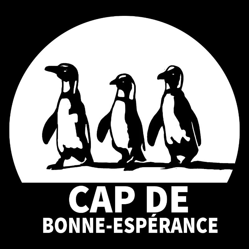 Cap de bonne espérance Afrique du sud