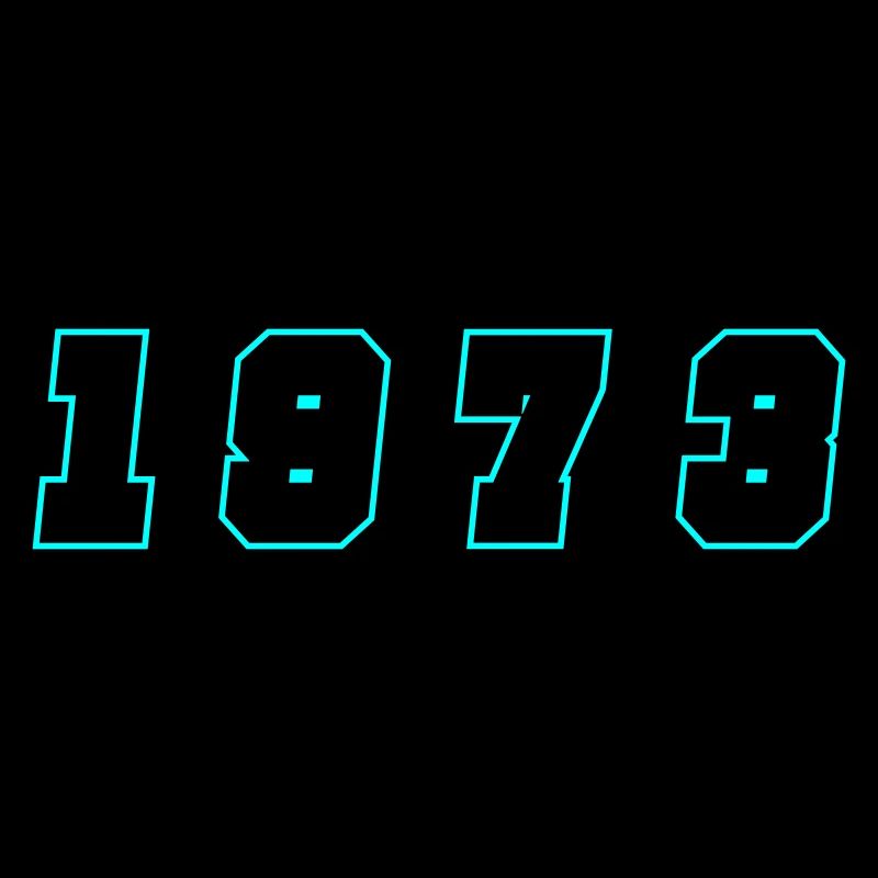 1973 Year Number