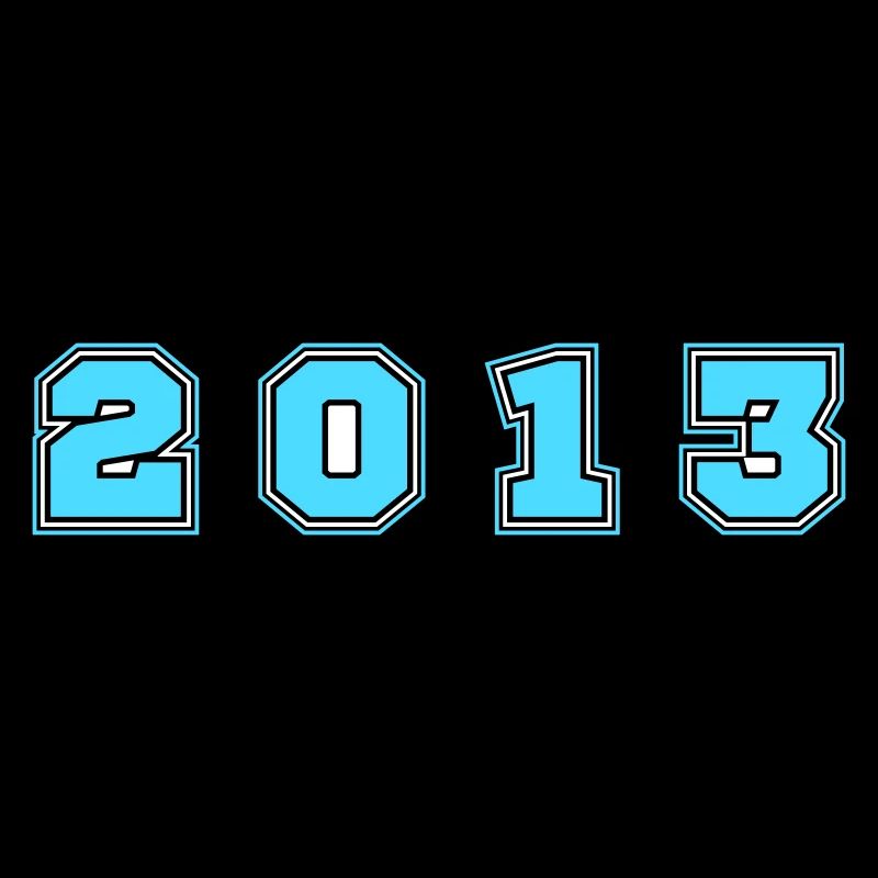 2013 Year Number