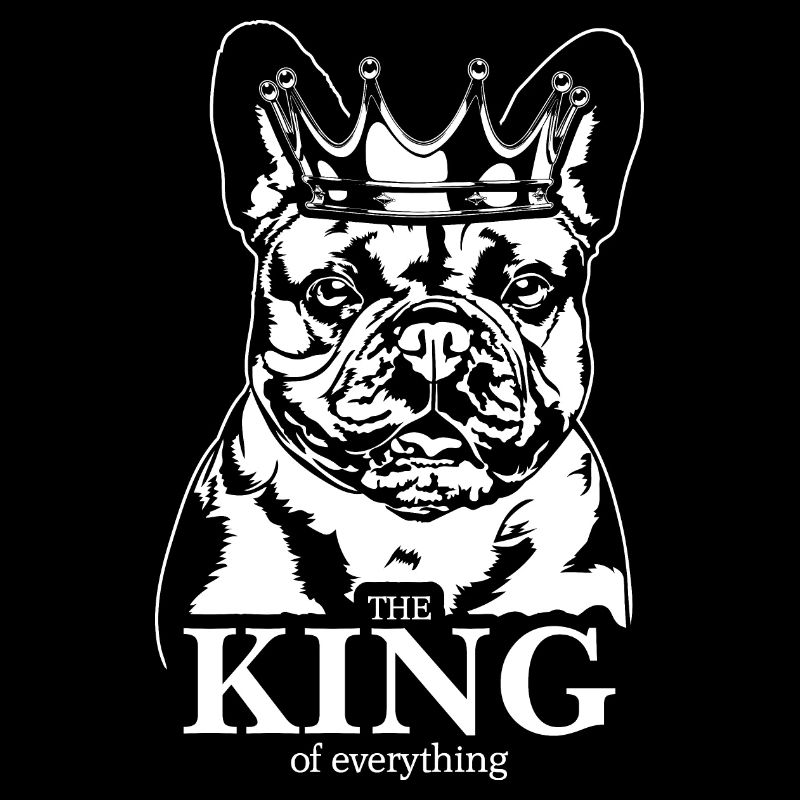 Bouledogue français Roi de tout Chiens