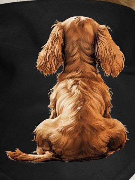 Cocker Spaniel