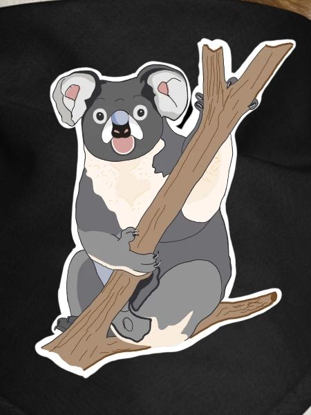 Koala Koala Bear