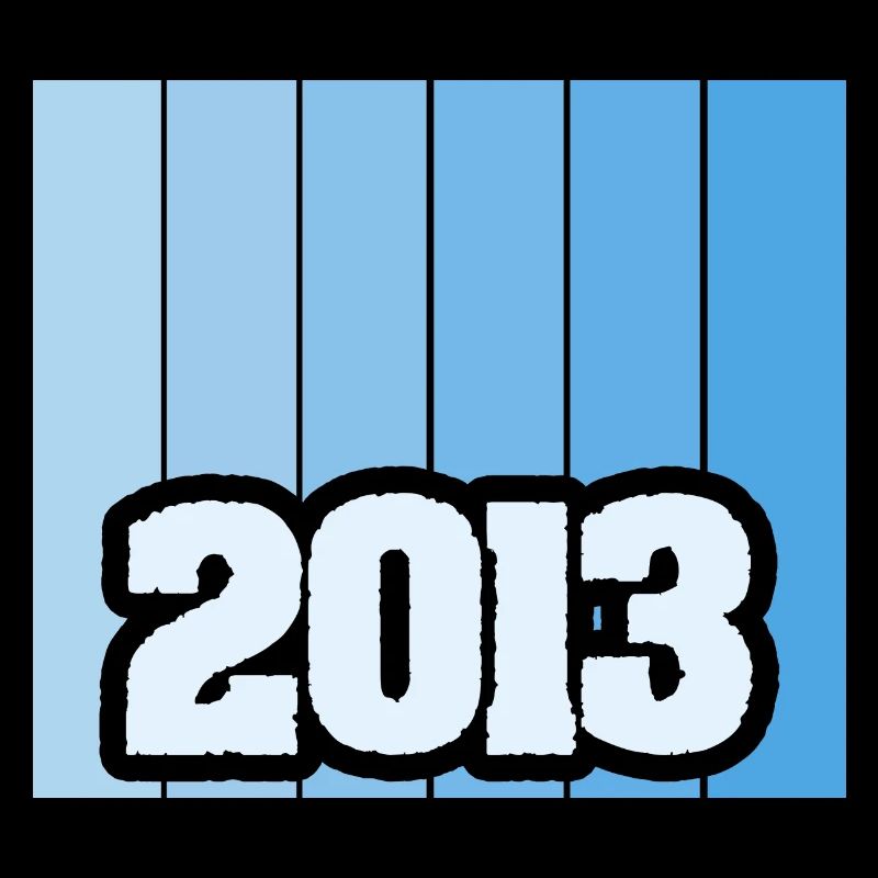 2013 2013
