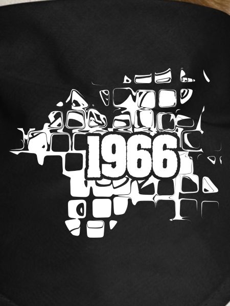 1966