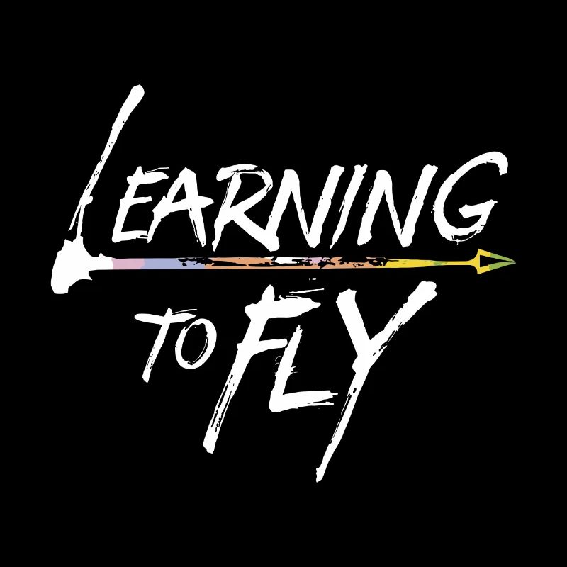 Learning to fly Flying Airplane Pilot Flyer