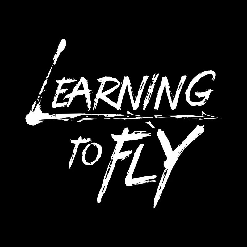 Learning to fly Flying Airplane Pilot Flyer