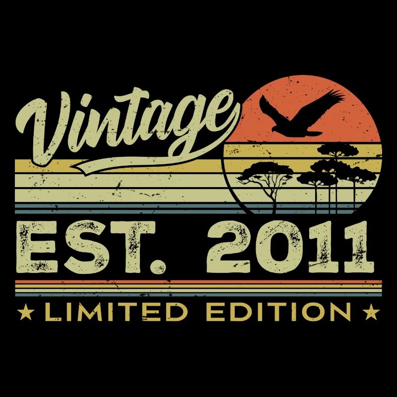 Vintage 2011 Awesome Since 2011 Gift 2011 Retro