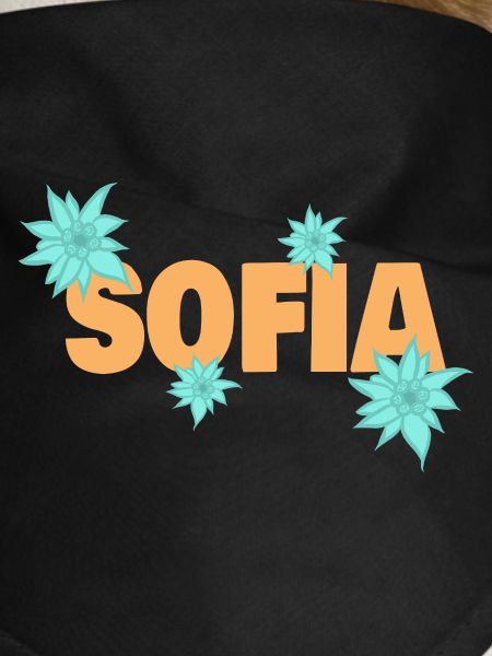 Gift for Sofia