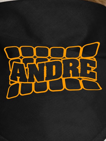 Andre comme nom