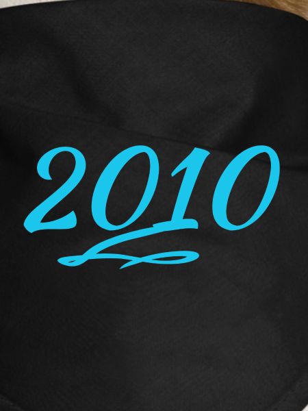 2010