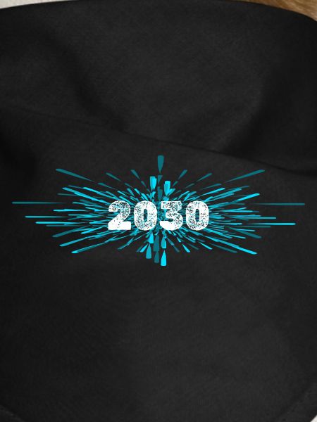 Year of construction 2030