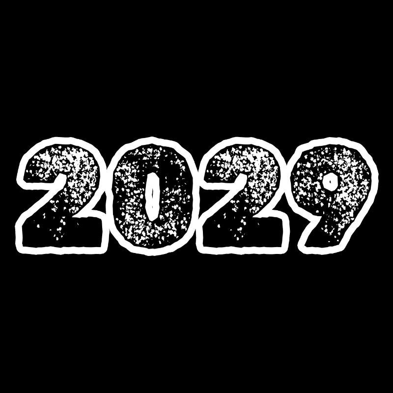 Year 2029