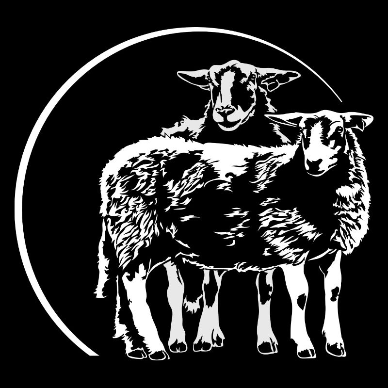 SCHAFE Schaf Sheep Tier Schäfer Wilsigns