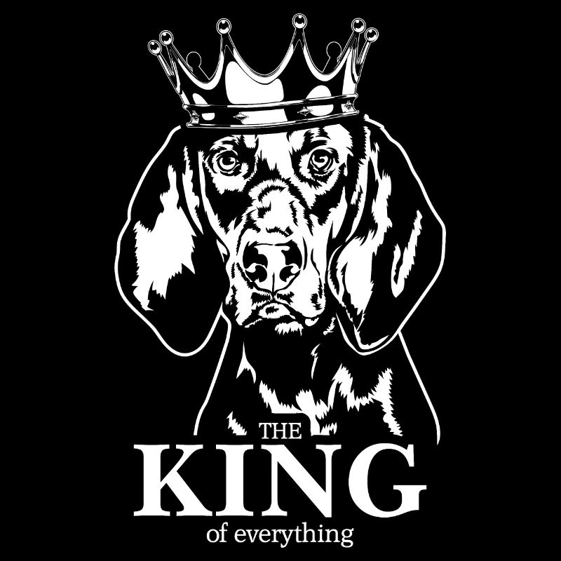 Black and Tan Coonhound King everything Wilsigns