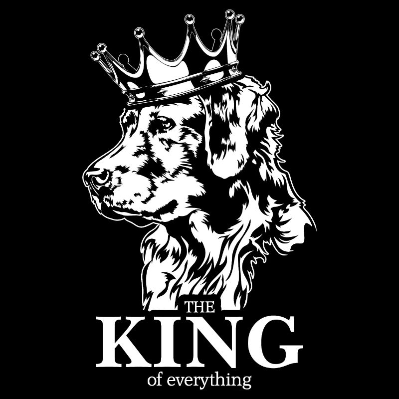 Golden Retriever King of everything Hund Wilsigns