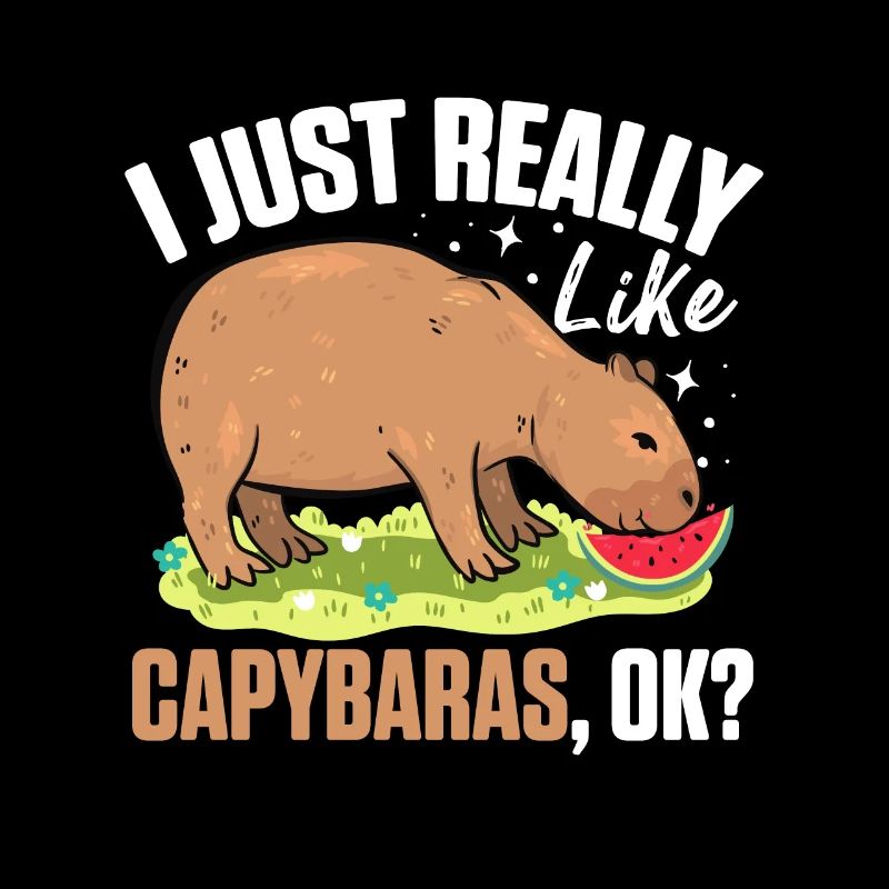 I Just Really Like Capybaras OK Capybara