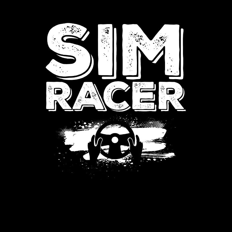 Sim Racer Racing Simulator Sim Racing