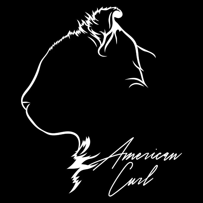 American Curl Profile Cat Cat Wilsigns