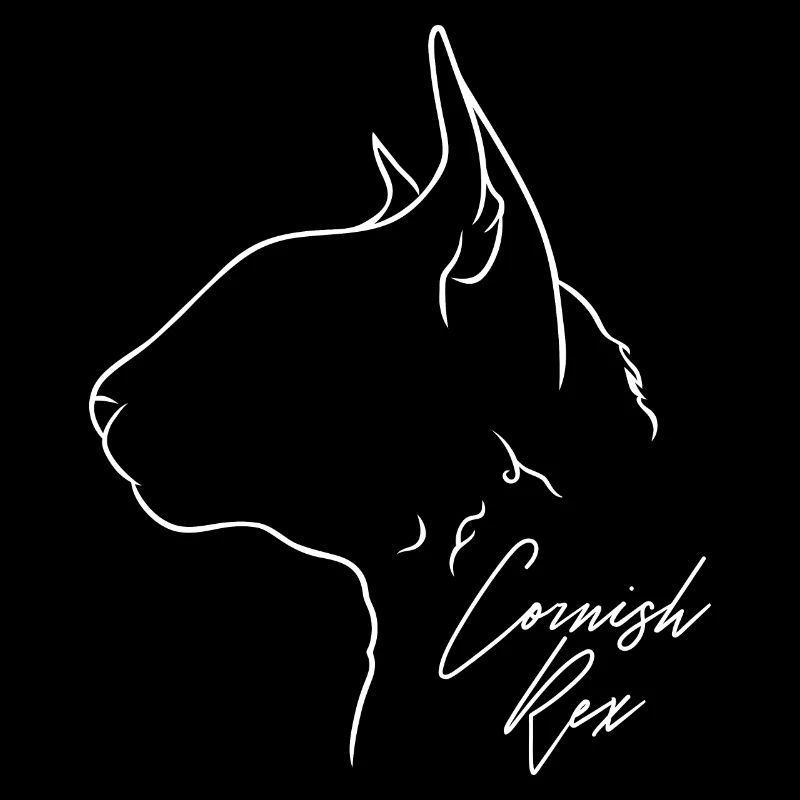 Cornish Rex Profil Katzen Katze Wilsigns