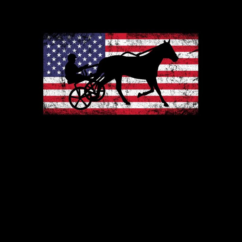 Harness racing american flag