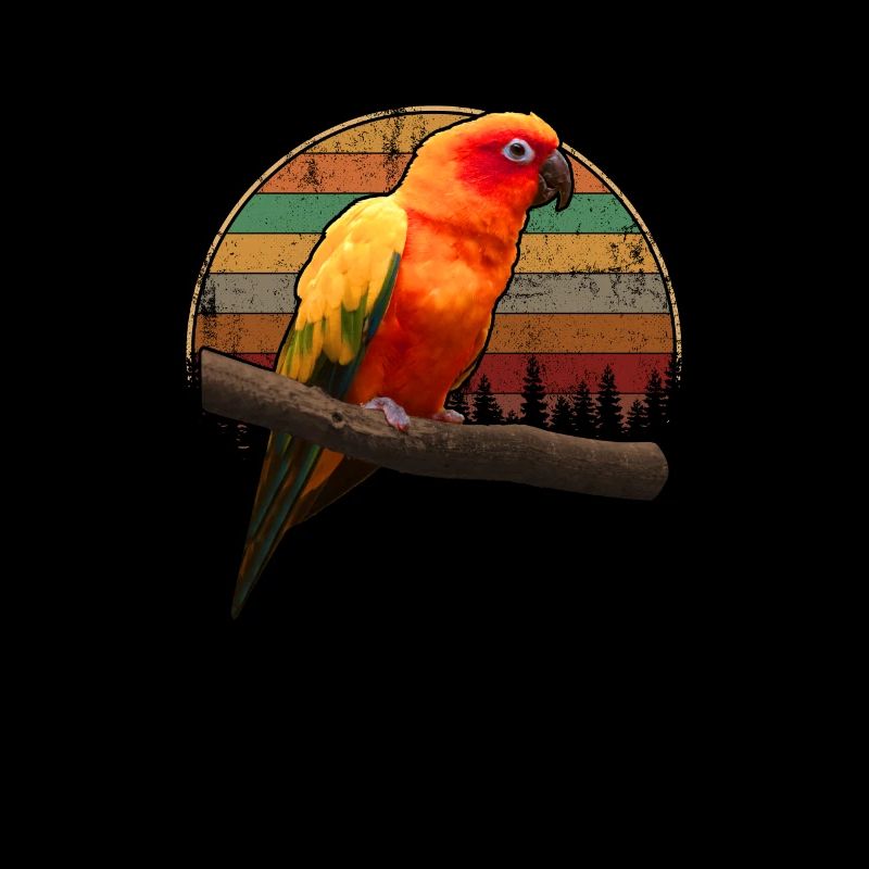 sun conure, conure parrot sun conure