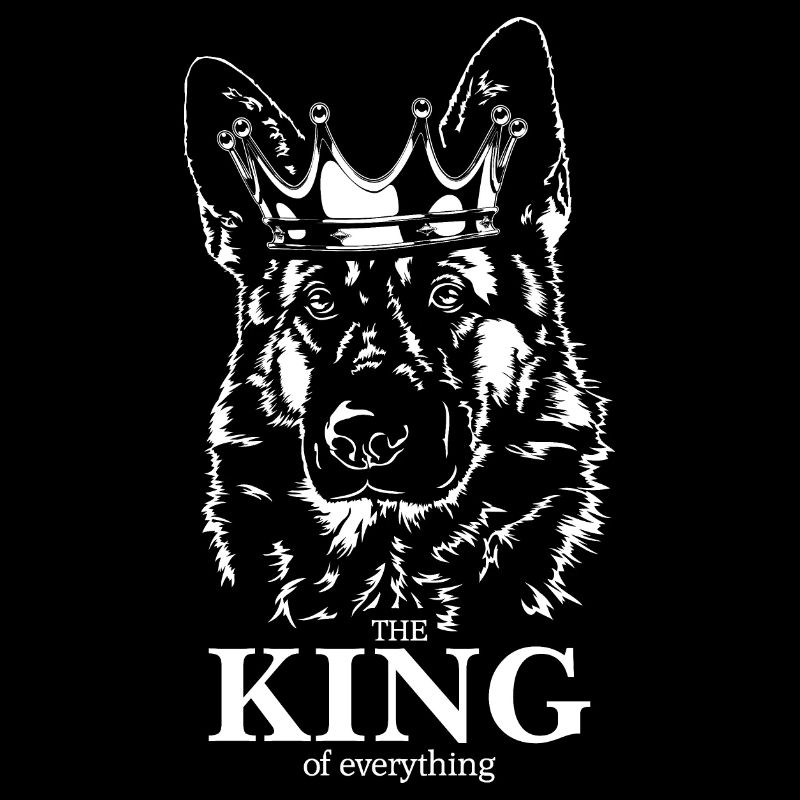 Deutscher Schäferhund King of everything Hunde
