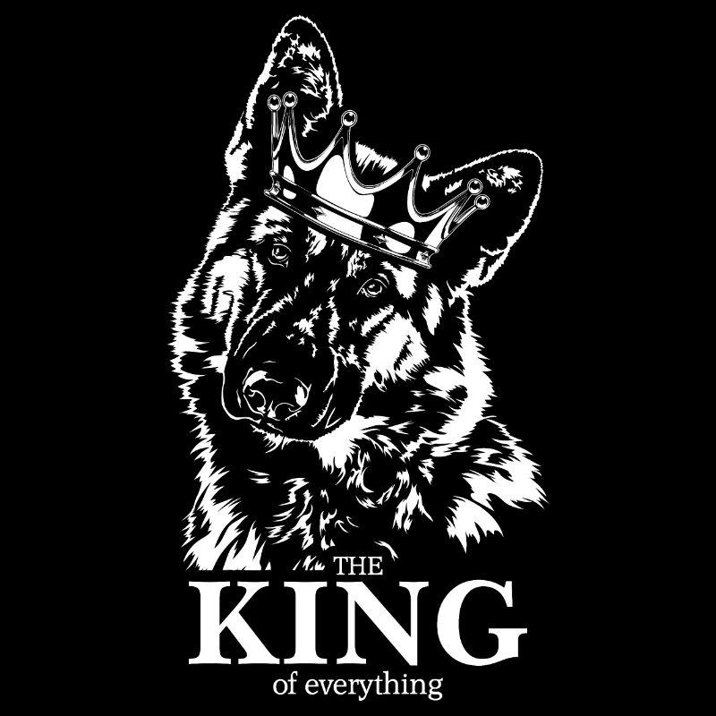 Deutscher Schäferhund King of everything Hunde