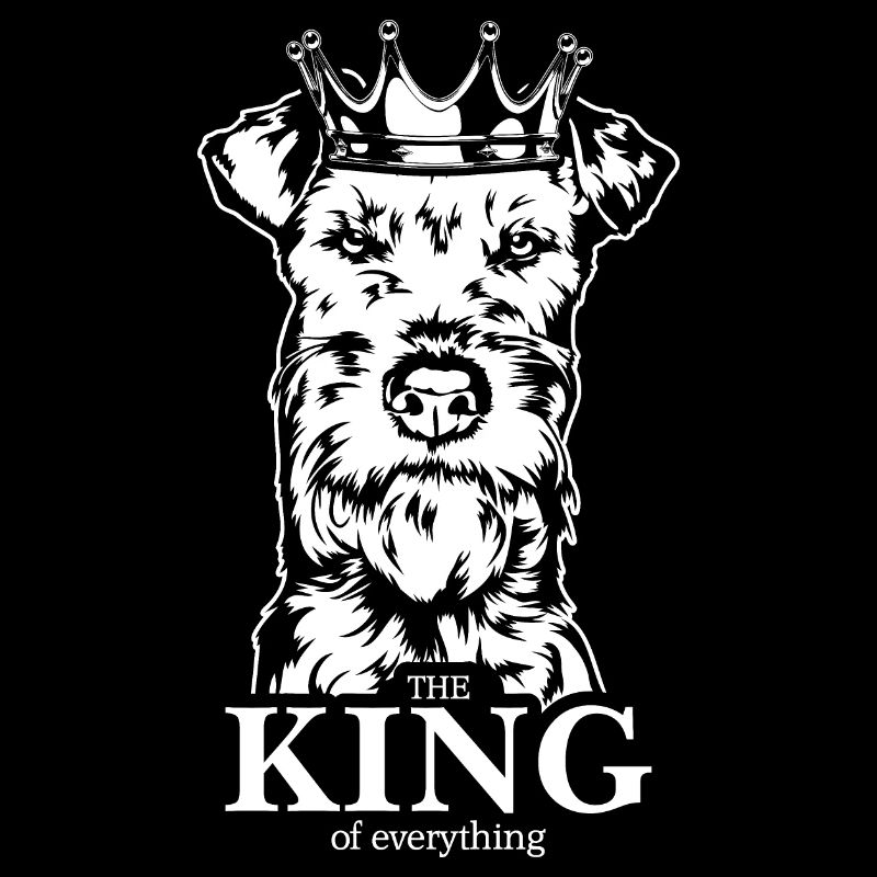 Irish Terrier Roi de tout Chiens Wilsigns