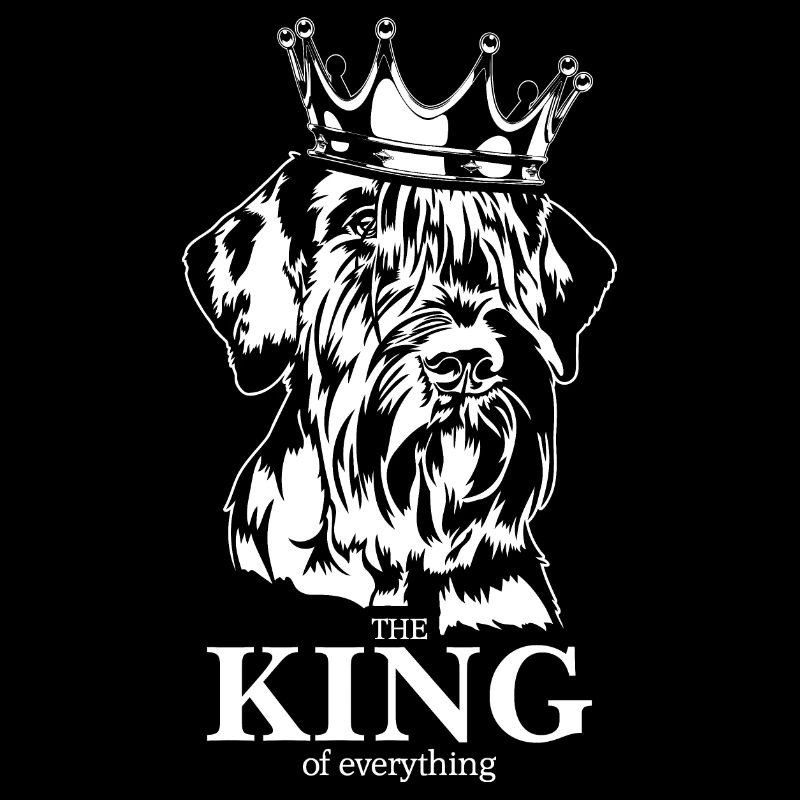 Schnauzer géant roi de tout chiens Wilsigns