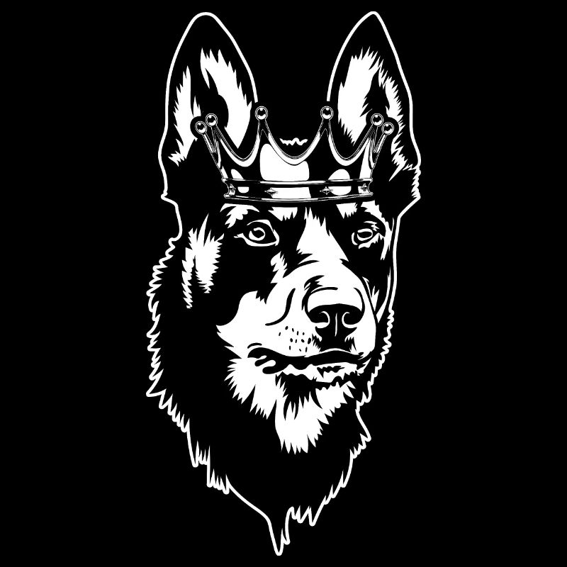 Kelpie australien Crown Dogs Wilsigns