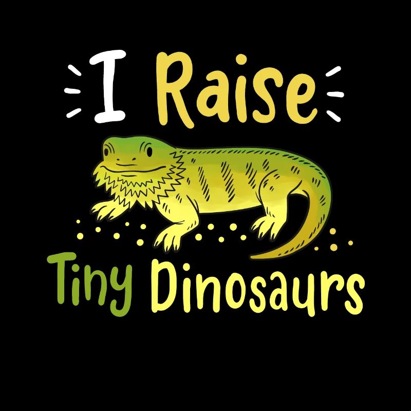 Bartagame Eidechse Reptilien