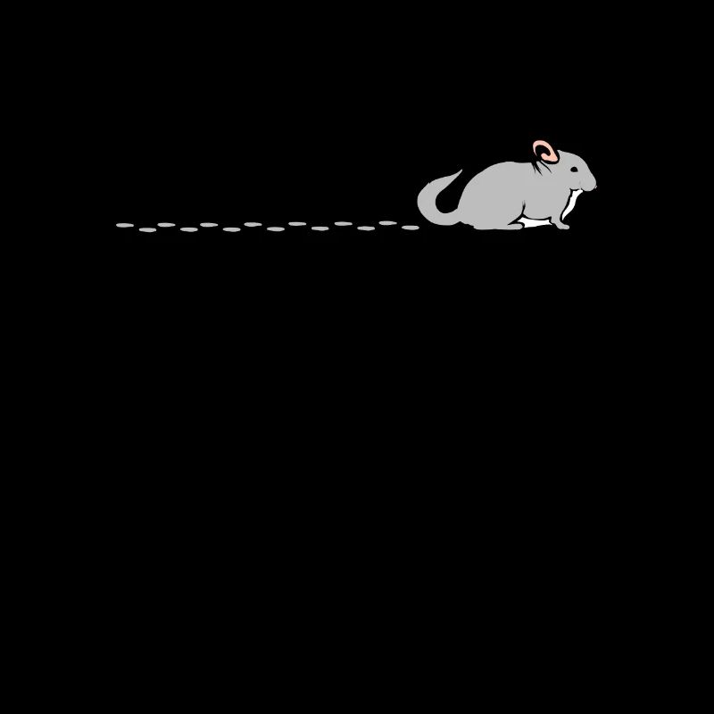 Chinchilla Empreintes de pas - Chinchilla Empreintes de pas