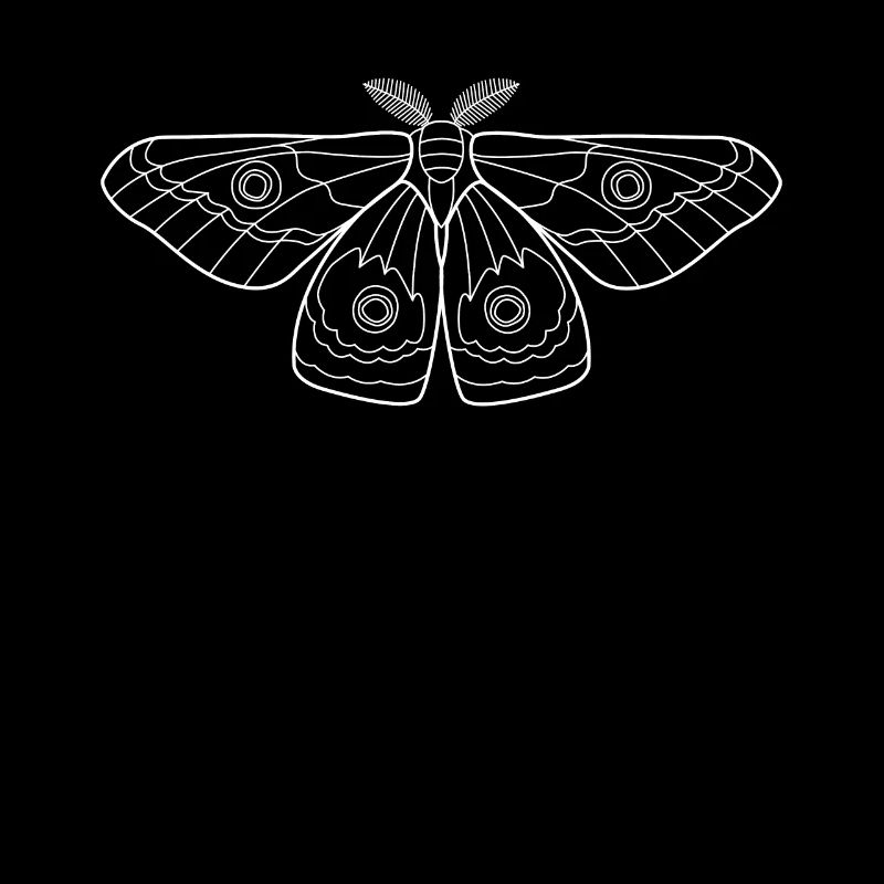 Moth Moth Butterfly Insects Gift