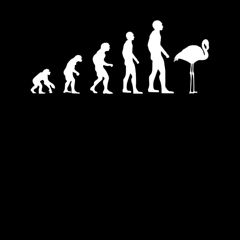 Flamingo Vogel Süß Zoo Tier Evolution Geschenk