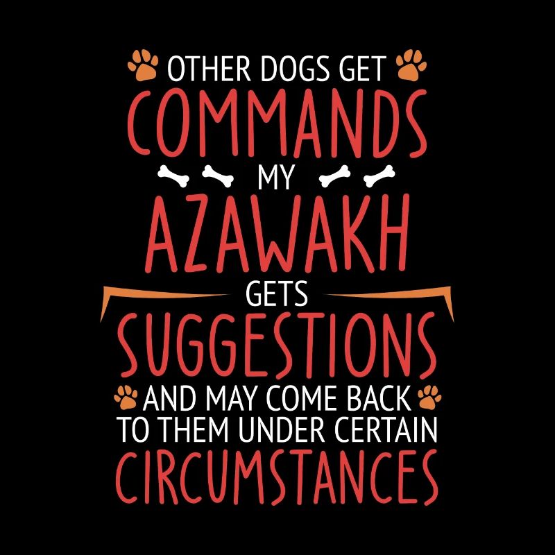 Azawakh Commande la patte