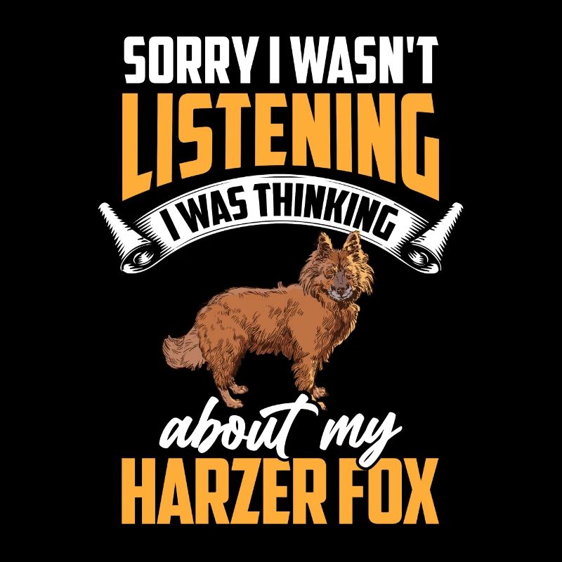 Harz fox was distracted herding fox