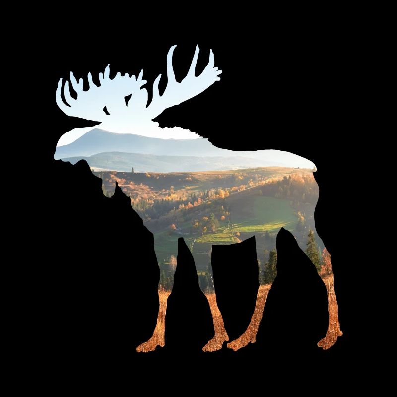 Élan