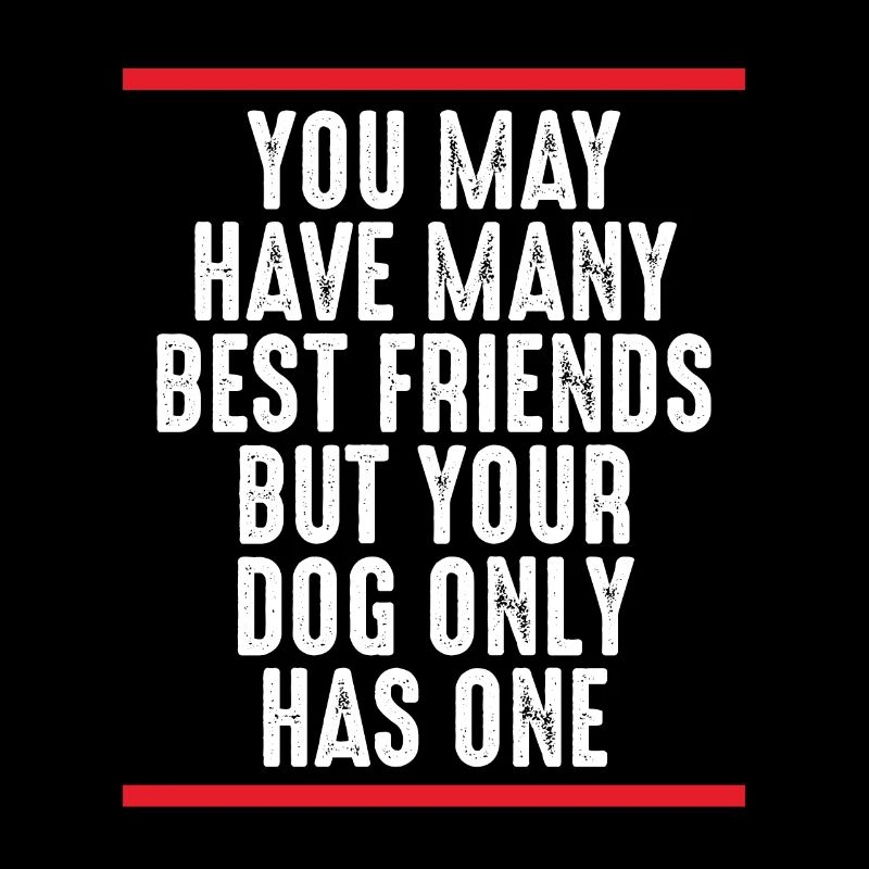 Your dog has a best friend