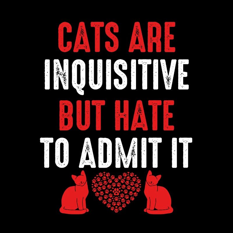 Katzen Sind Neugierig