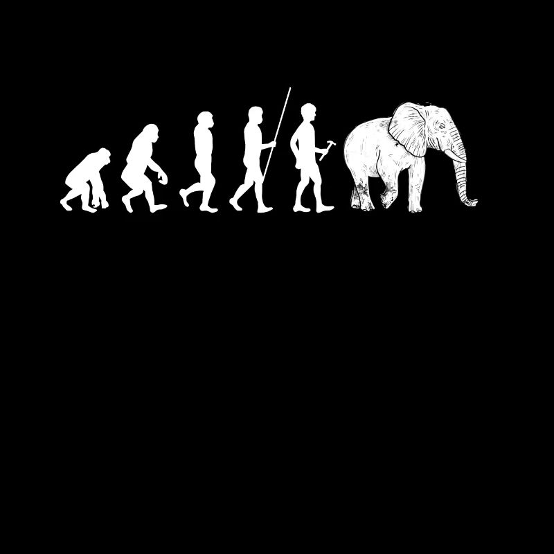 Elephant Elephant Elephant Proboscis Zoo Circus