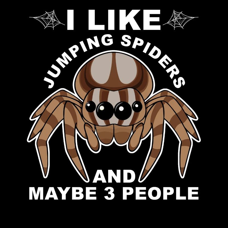 Dicton Jumping Spider